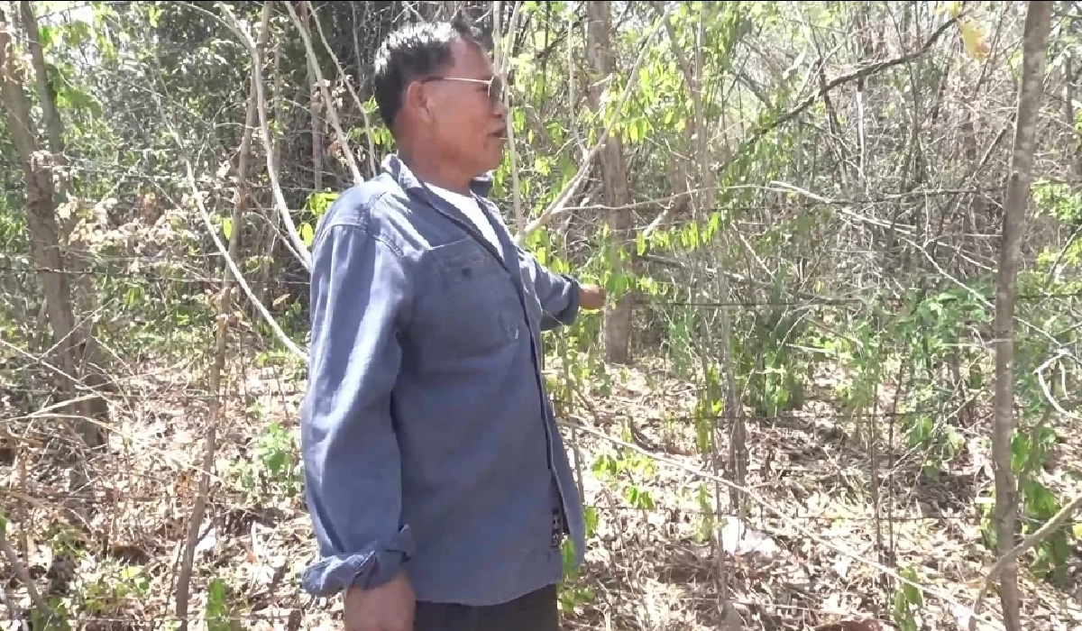 แนวลวดหนามกั้นเขตพื้นที่ป่าห้วยขาแข้ง 