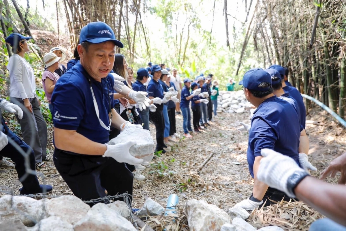 ซีพีแรมรวมน้ำใจ ฟื้นฟูน้ำใสสู่ชุมชน คืนความอุดมสมบูรณ์ป่าต้นน้ำ กาญจนบุรี