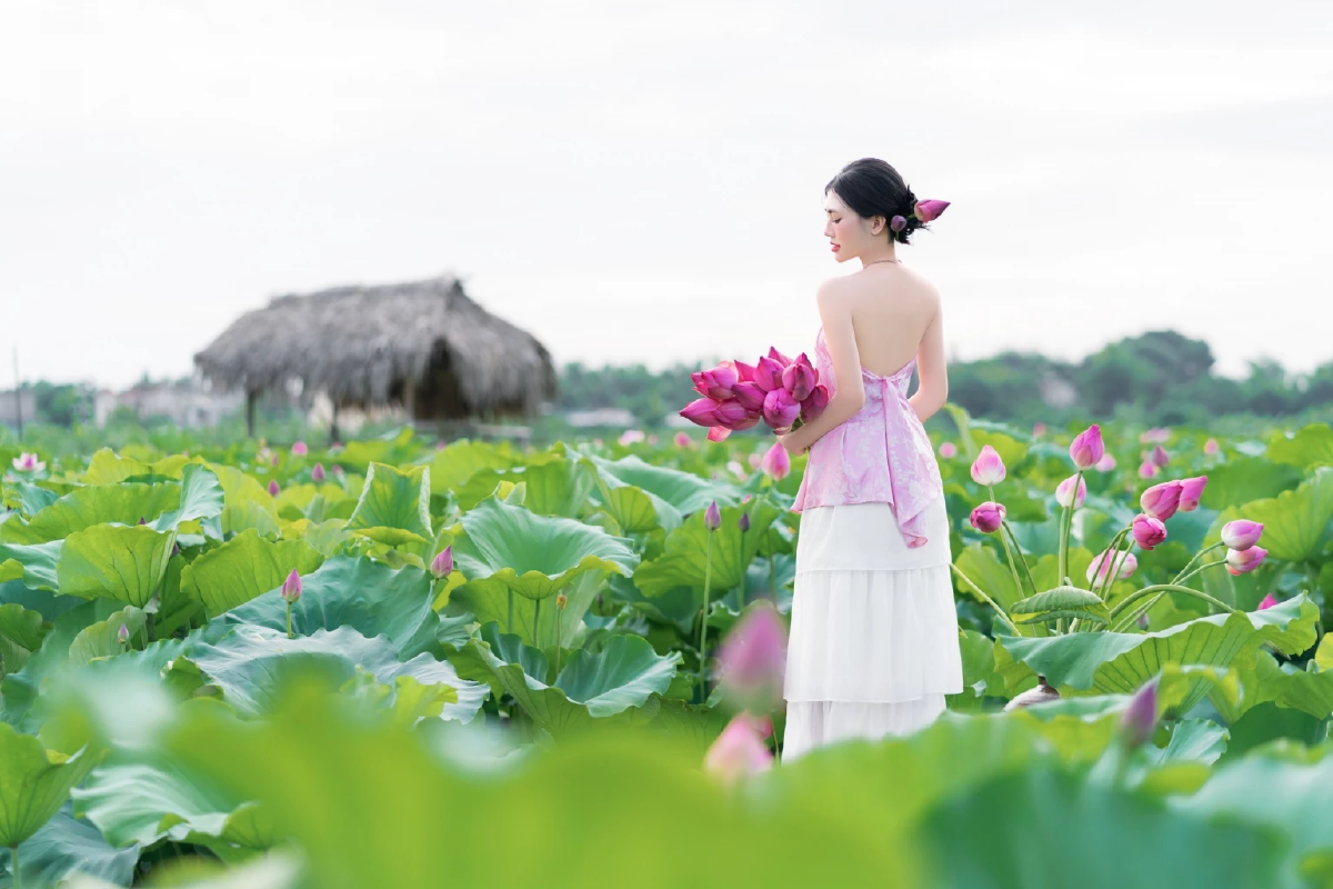 \"ดอกบัว\" ดอกไม้แห่งจิตวิญญาณ ของชาวพุทธในเวียดนาม 