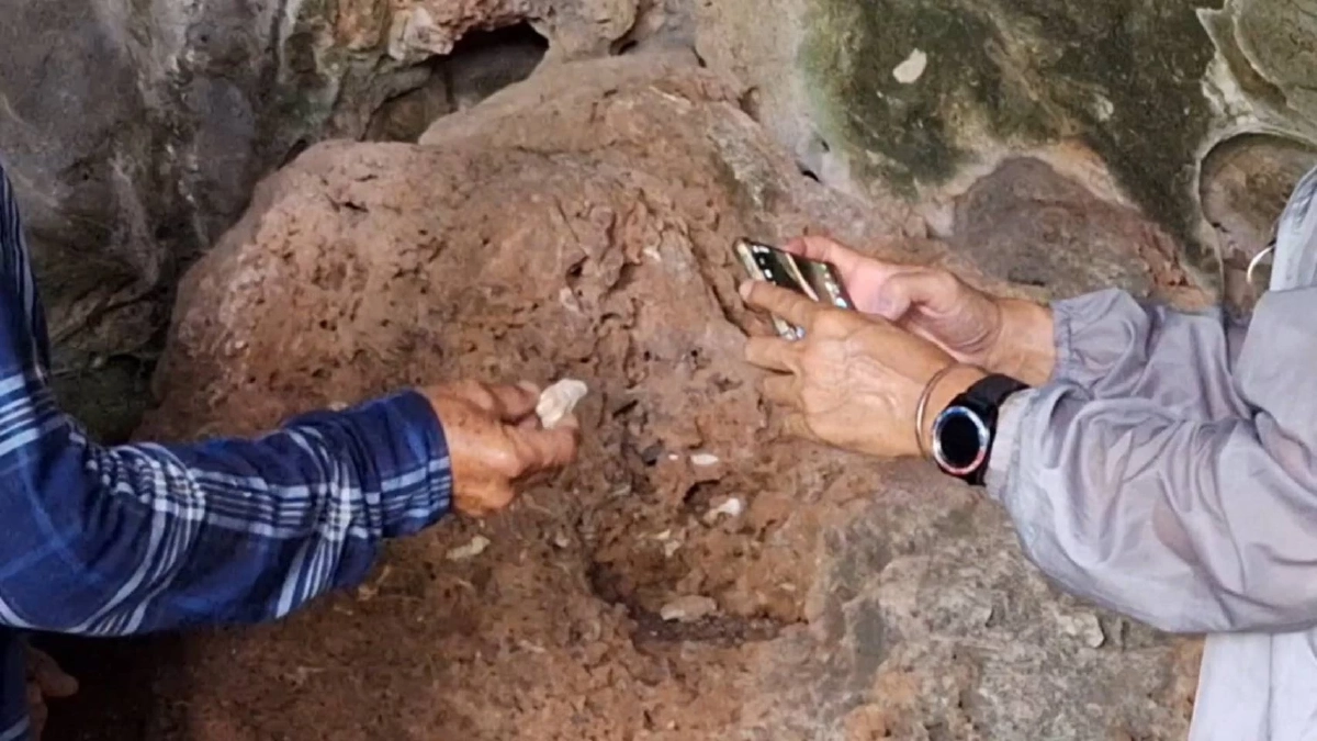 กระดูกในก้อนหิน