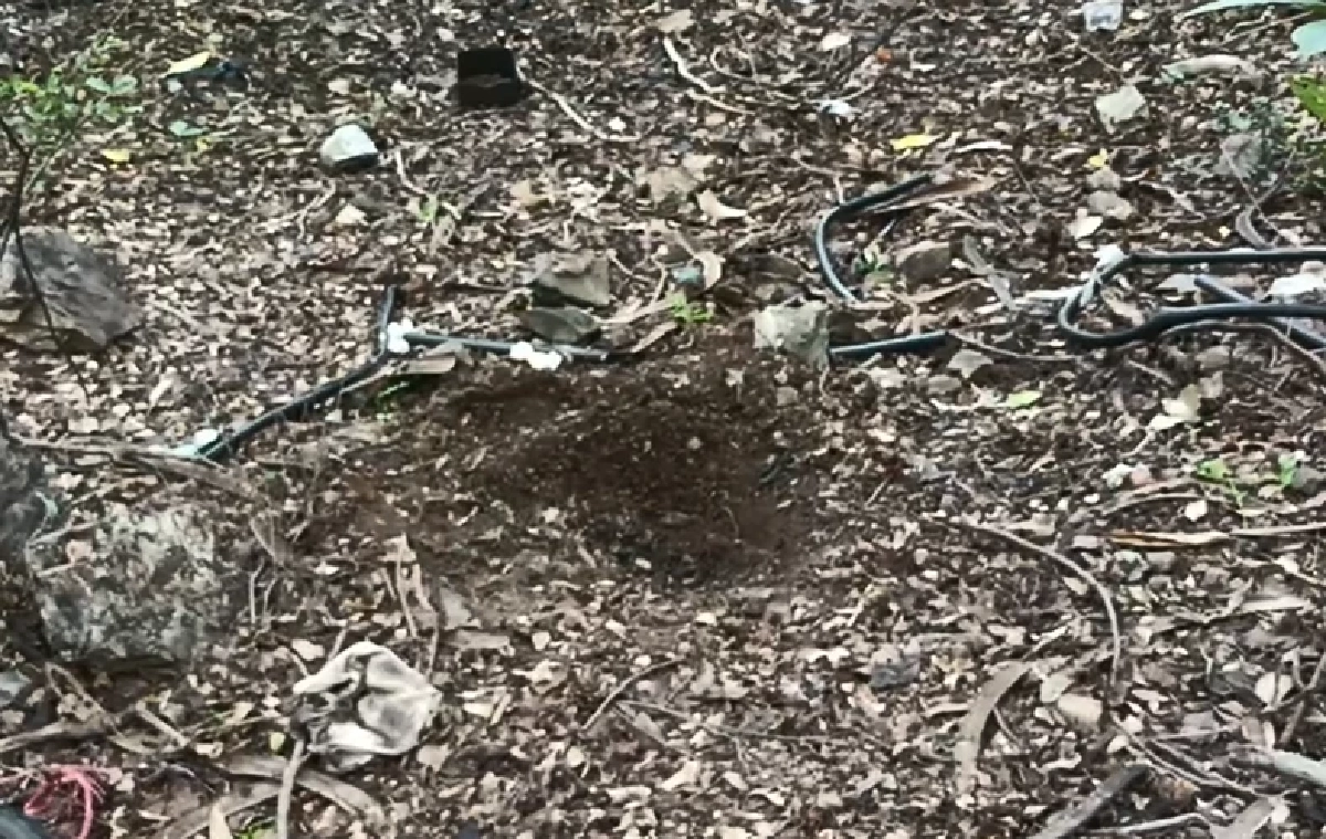 ทารก 2 เดือน ปอดติดเชื้อดับ พ่อ-แม่ มือใหม่ทำอะไรไม่ถูก เอาลูกไปฝังดิน