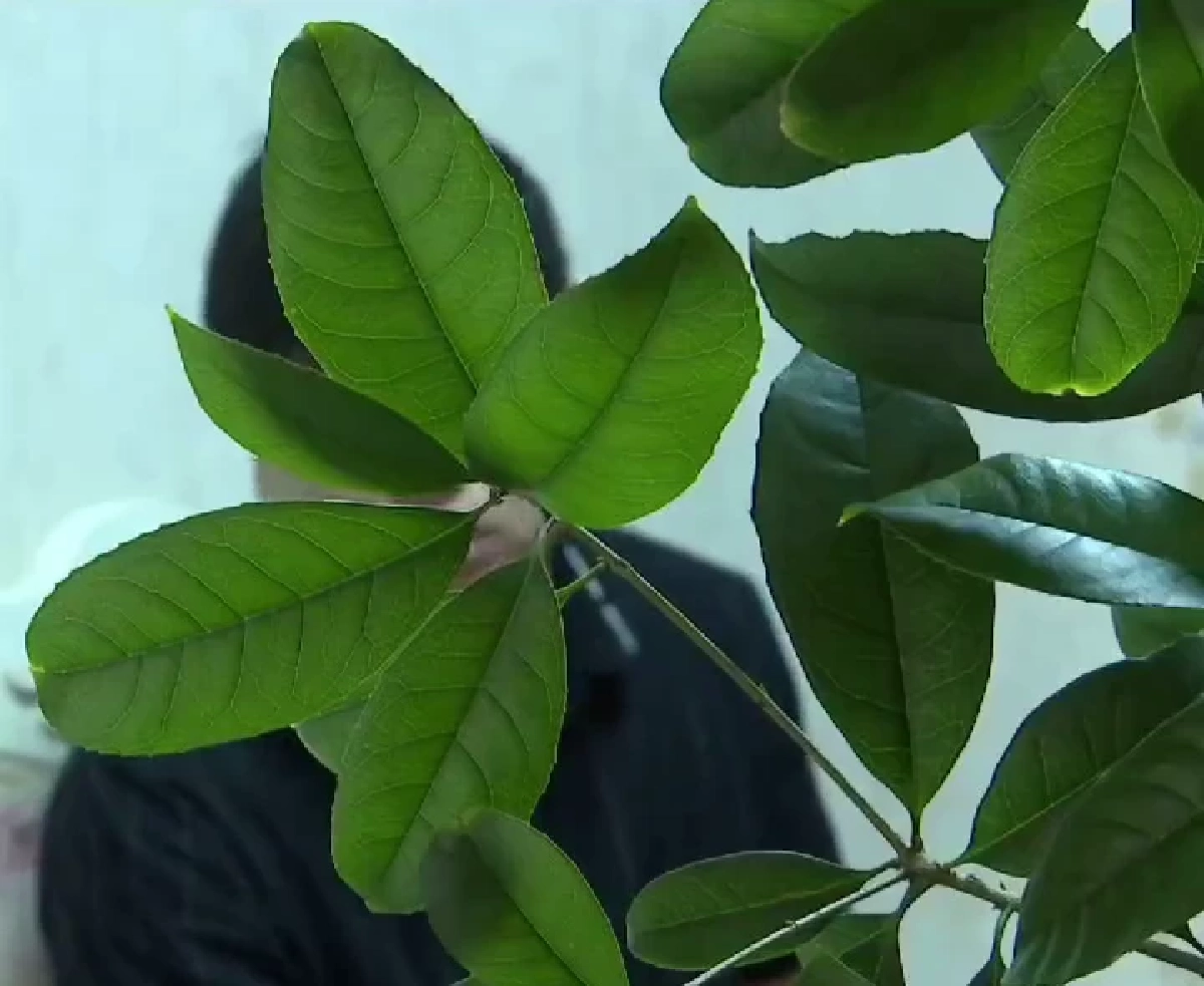 หนุ่มช้ำ คบสาวออนไลน์ 3 ปี เปย์ครึ่งล้าน มารู้ทีหลัง เป็น ป้าพนักงาน ใกล้ตัว