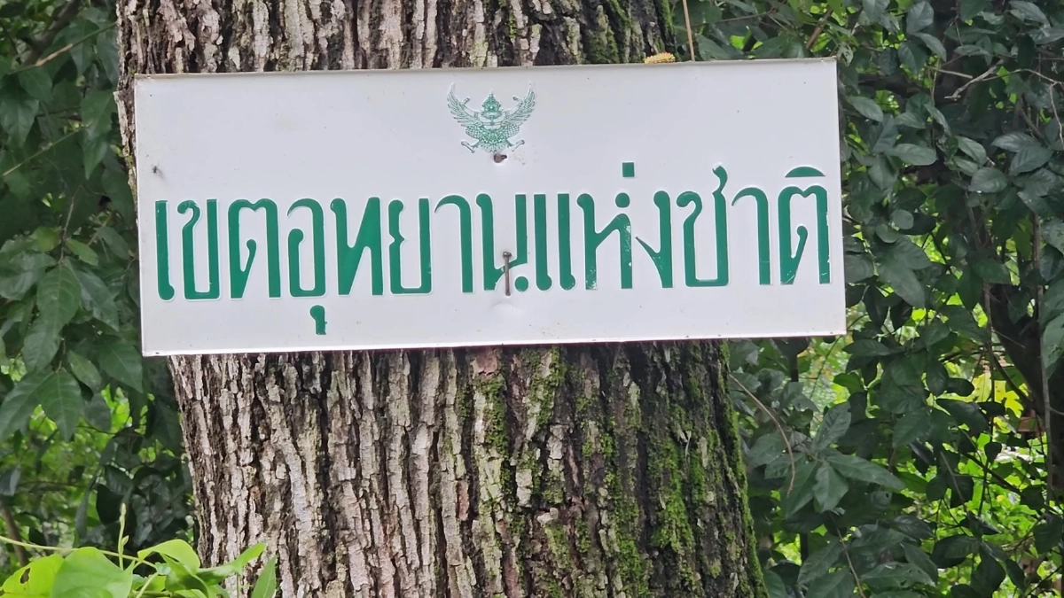 หมีลงจากเขาใหญ่ ตะปบชาวบ้านหน้าเหวอะ กรามหัก