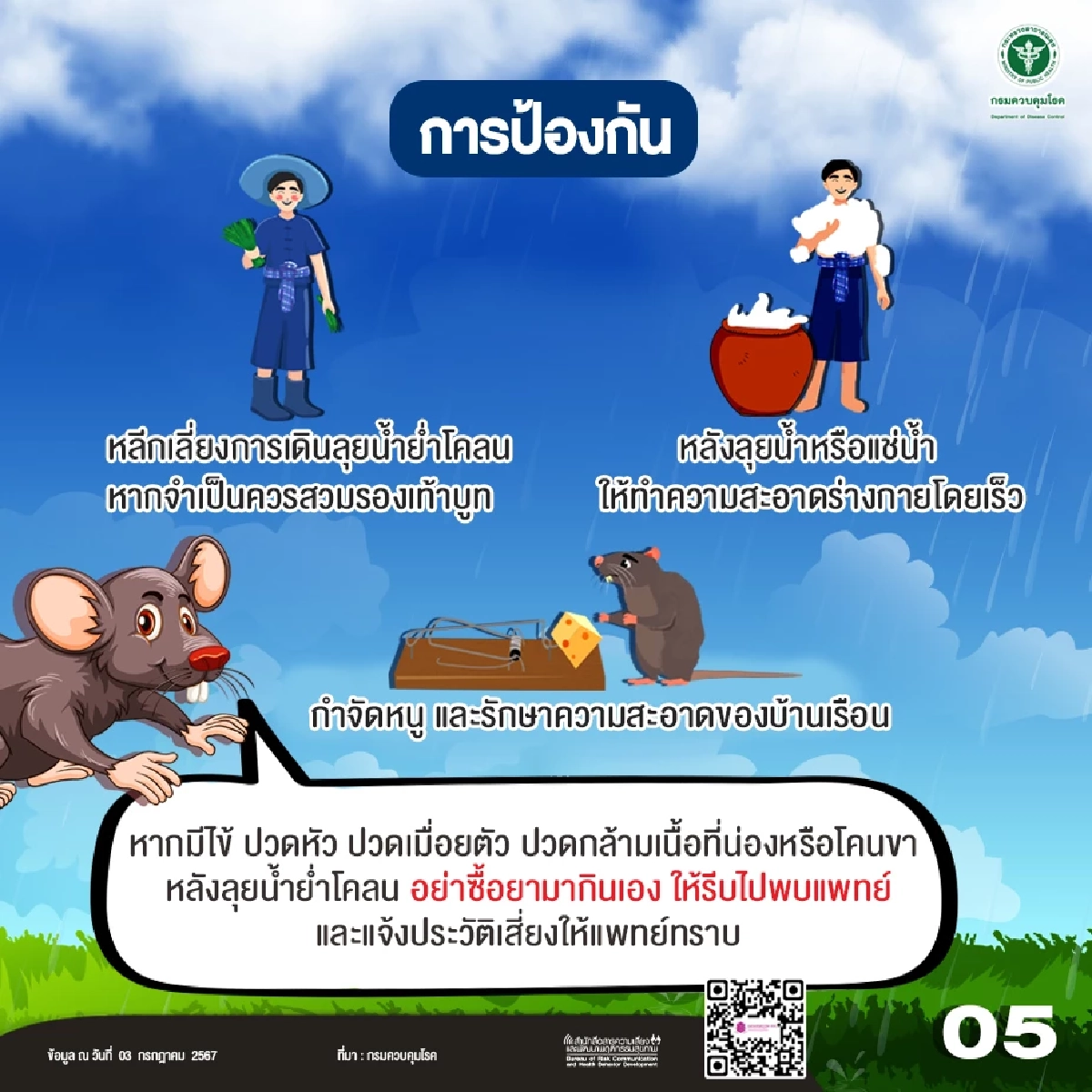 4 จังหวัดอีสานล่าง โรคฉี่หนูระบาด ป่วยแล้ว 81 ราย ดับ 2 ราย โคราชมากสุด 29 ราย