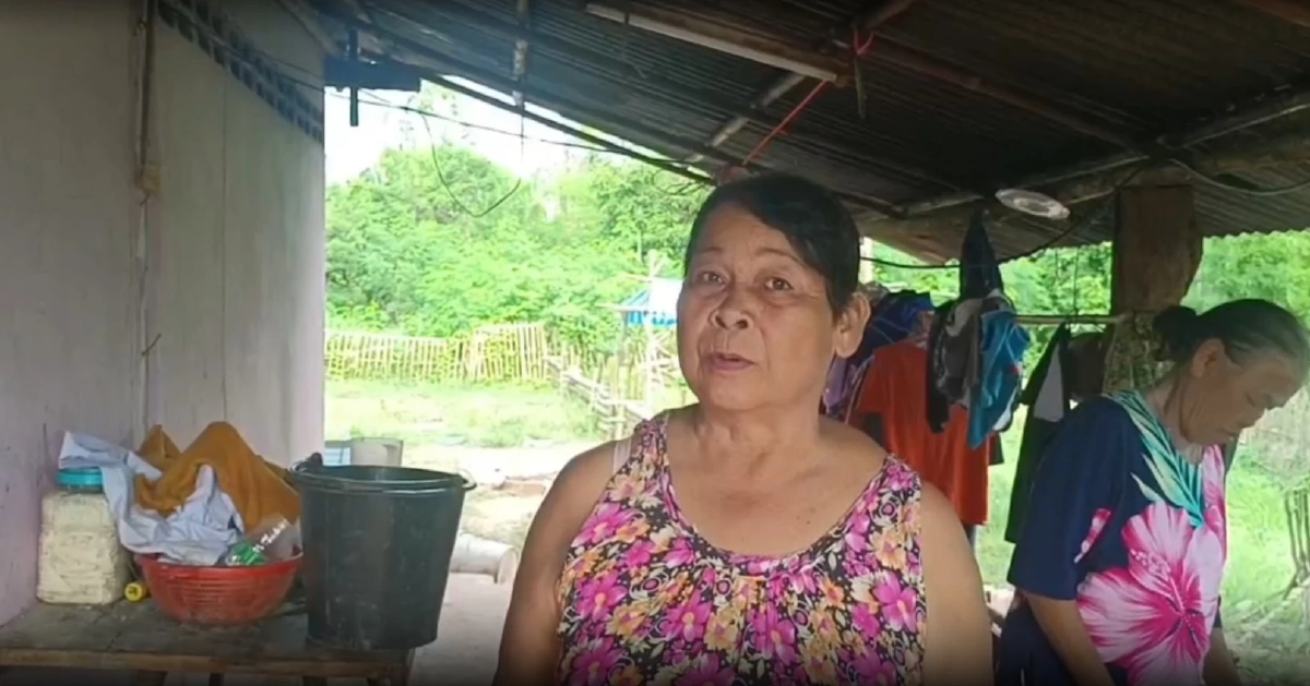 สุดแปลกสาวโพสต์ "หมูคลอดลูกเป็นหมา" เจ้าของเชื่อมาให้โชค