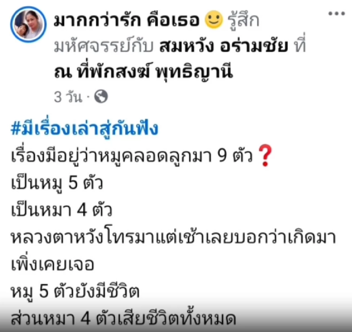สุดแปลกสาวโพสต์ "หมูคลอดลูกเป็นหมา" เจ้าของเชื่อมาให้โชค