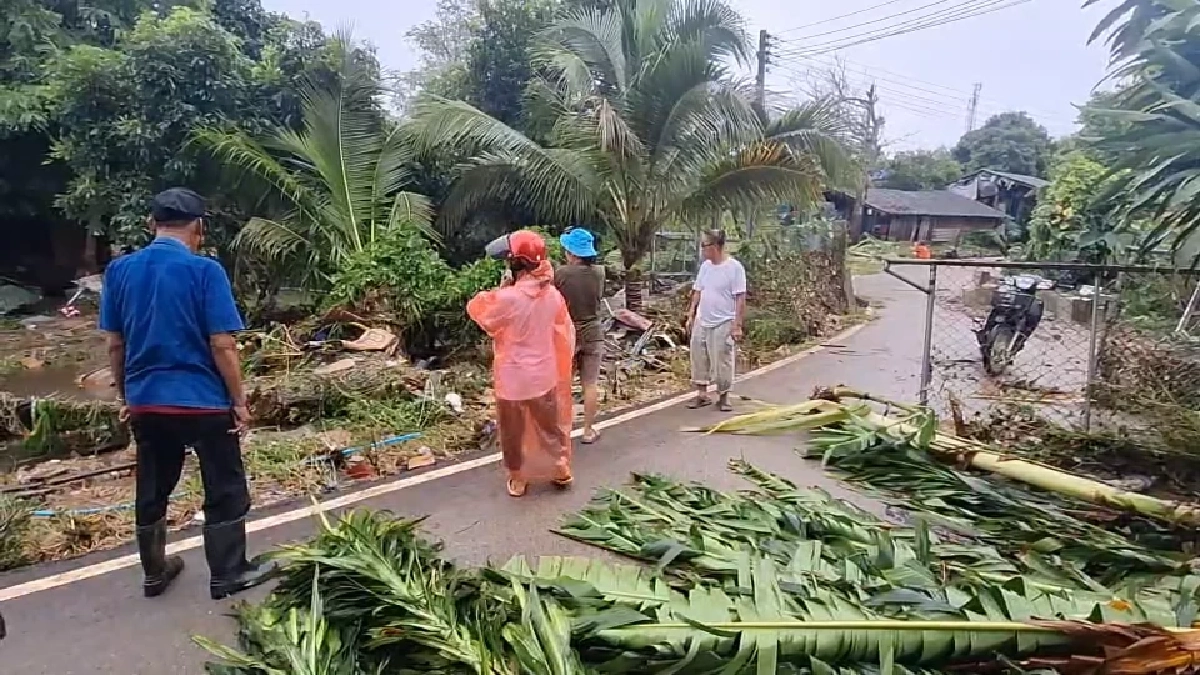 ดับ 1 เซ่นน้ำป่า ดอยขุนตาล ซัดอ่วม บาดเจ็บ 3 ราย ดินสไลด์ ต้นไม้ล้ม ขวางทางรถไฟ