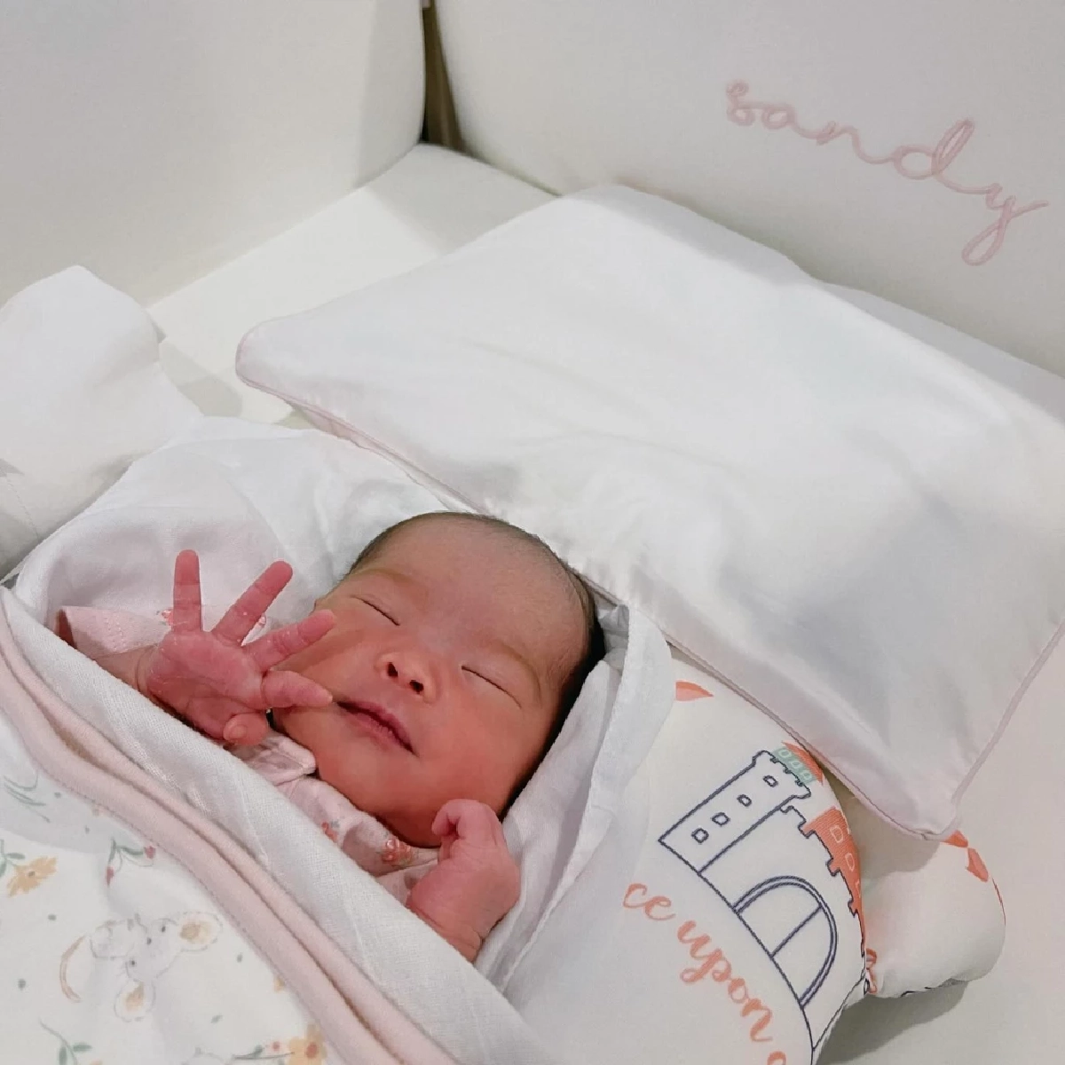 ส่องความน่ารัก \"น้องแสนดี\" ลูก \"เปาวลี\" แต่เอ๊ะ! มือมีอะไร