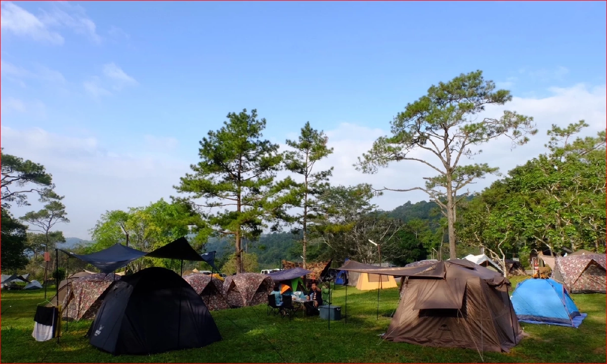 ลมหนาวมาแล้ว! นักท่องเที่ยวแห่ชมแสงแรก สัมผัสอากาศหนาว ยอดภูเรือ 15 องศา