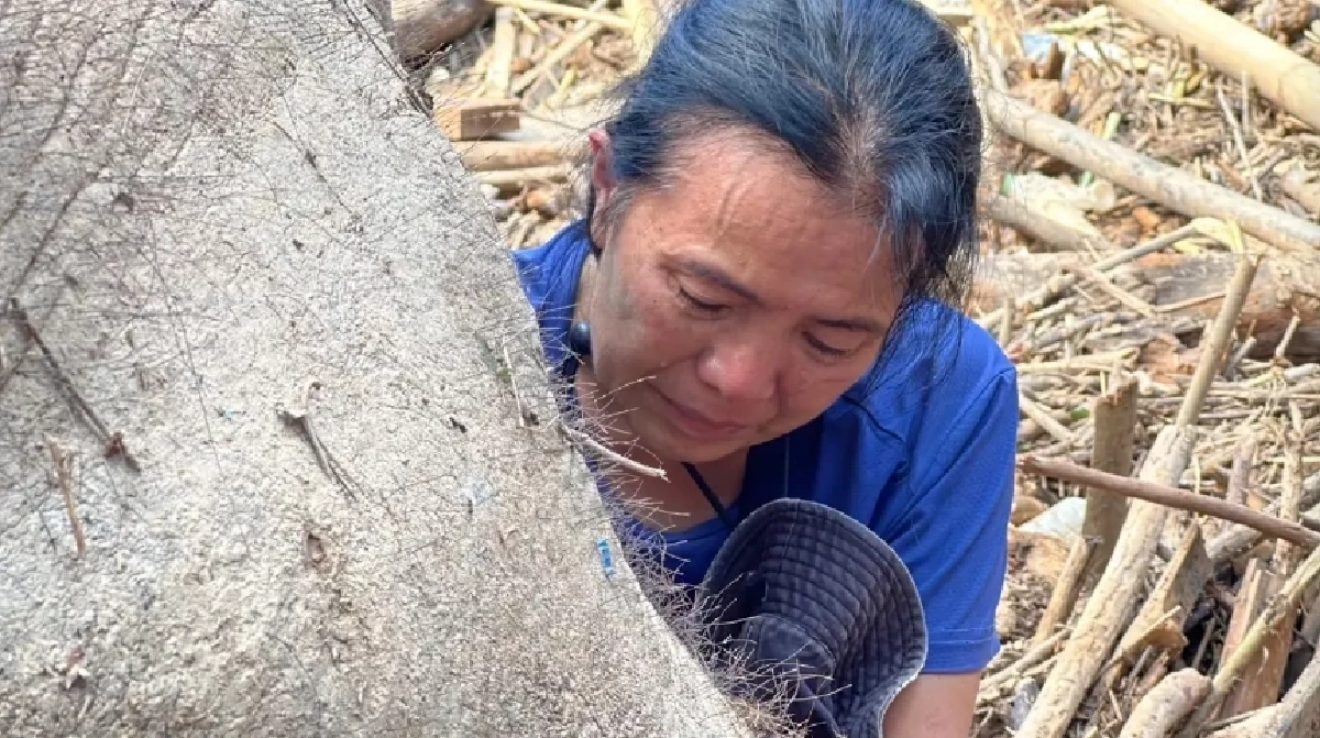 นาที ผอ.ศูนย์บริบาลช้างฯ โผกอดร่าง ช้างลูกรัก \"ฟ้าใส - พลอยทอง\" หลังถูกน้ำพัด