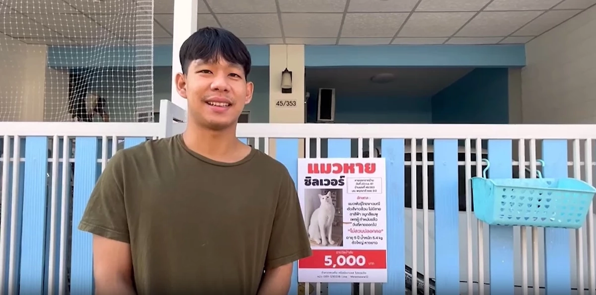 ตามหาแมวหาย! เจ้าของประกาศหาแมวหาย "ซิลเวอร์" เพิ่มเงินรางวัลเป็น 10,000 บ.