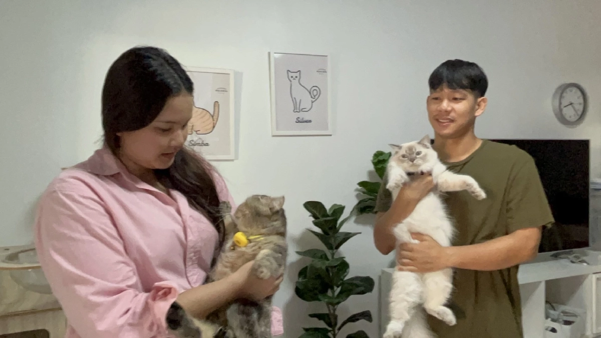 ตามหาแมวหาย! เจ้าของประกาศหาแมวหาย "ซิลเวอร์" เพิ่มเงินรางวัลเป็น 10,000 บ.