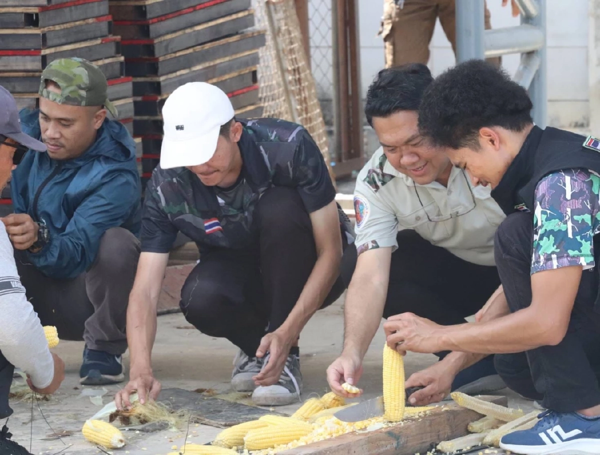 จนท. ตามจับลิงลพบุรี หลุดกรง ได้แล้ว 130 ตัว คาดอีก 2 วัน เสร็จสิ้น