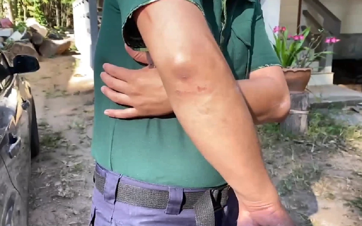 อุกอาจ! แก๊งไอ้โม่ง บุกปล้นไม้พะยูง จับเจ้าหน้าที่คลุมหัว มัดมือมัดเท้า