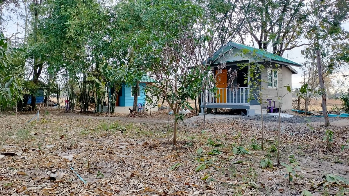 "หลวงพี่" ล่อ "เมียต่างชาติ" มาปฏิบัติธรรมถึงไทย ย่องเข้าซุ้ม บังคับอนาจาร