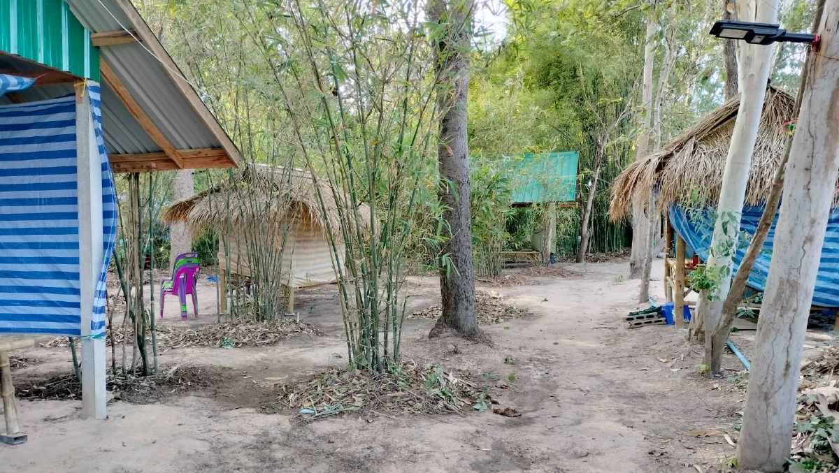 "หลวงพี่" ล่อ "เมียต่างชาติ" มาปฏิบัติธรรมถึงไทย ย่องเข้าซุ้ม บังคับอนาจาร