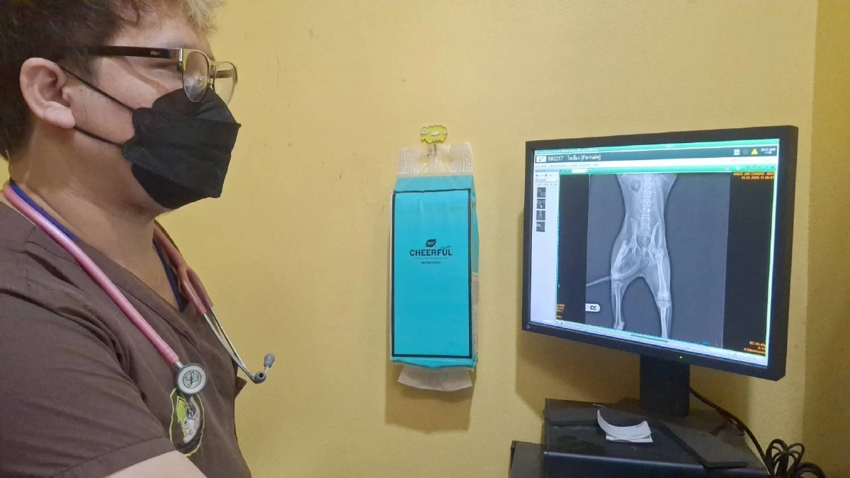 "เจ้าโอเลี้ยง" หมาแสนรู้ ถูกรถชนกรามหัก  ถึงมือหมอแล้ว