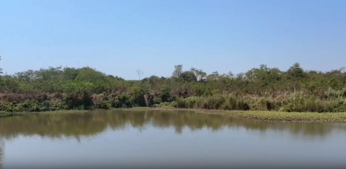 เปิดปมเก๋งปริศนา ขับวนเวียนก่อนพบร่างสาวถูกฆาตกรรม ยัดกระเป๋าถ่วงน้ำ