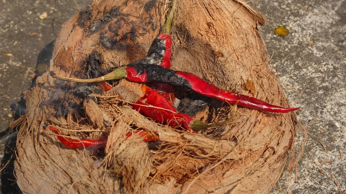 ผู้ว่าฯ แพร่ ทำพิธีเผาพริกเผาเกลือ สาปแช่งมือเผาป่า เดินหน้าสู้วิกฤตหมอกควัน