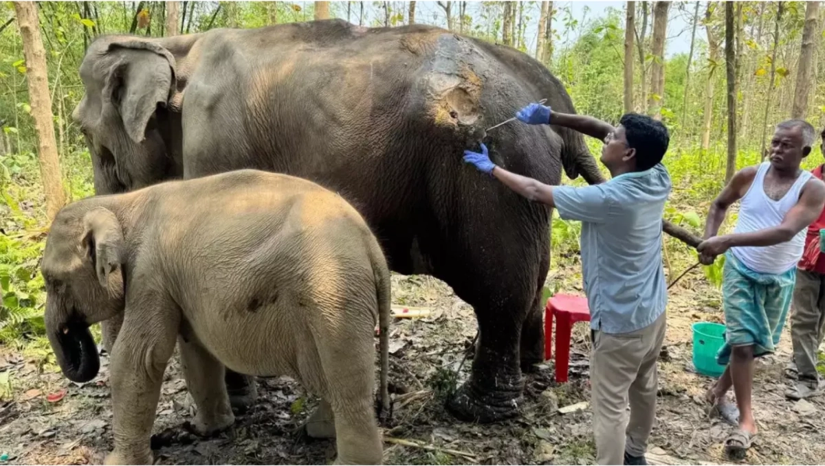 อัปเดตโปรเจกต์สุดพิเศษ "แอ็คมี่ วรวัฒน์" ใจบุญช่วยเหลือสัตว์