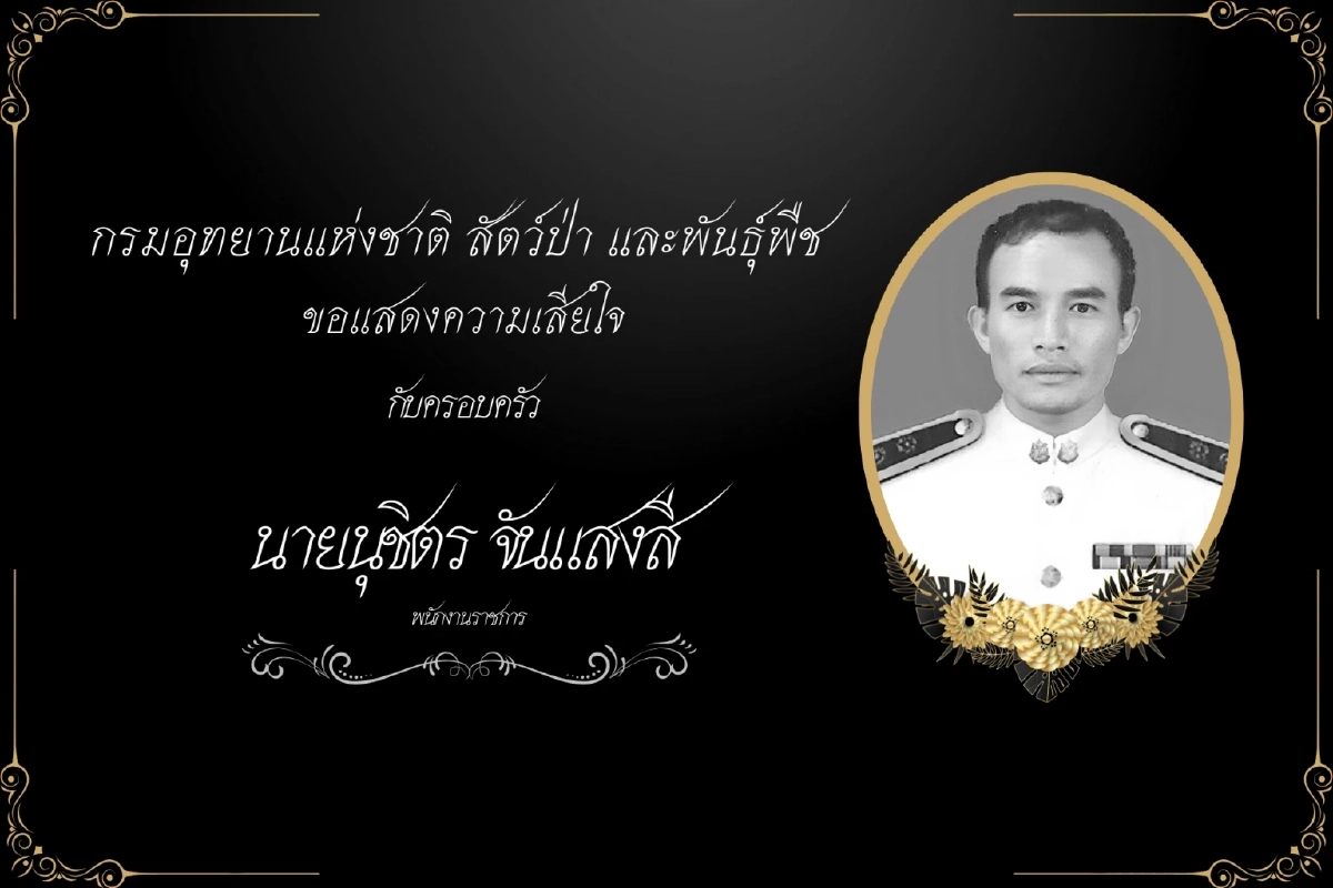 อาลัย \"เจ้าหน้าที่ป่าไม้\" ถูกช้างทำร้ายดับ ขณะเข้าผลักดันช้าง ออกนอกพื้นที่