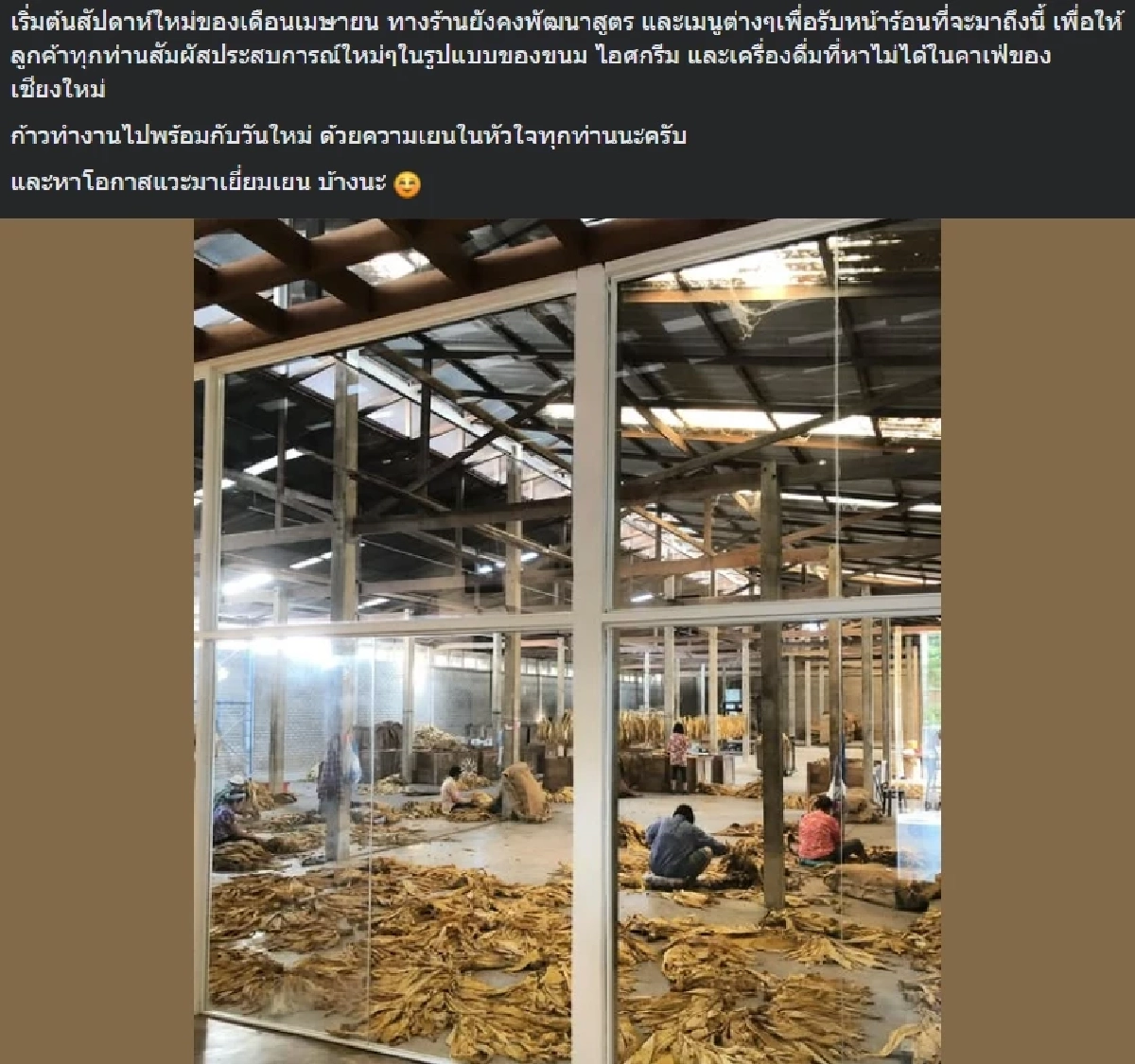 คาเฟ่ชื่อดังเชียงใหม่ สร้างห้องกระจกให้ลูกค้าจิบกาแฟ ดูคนงาน