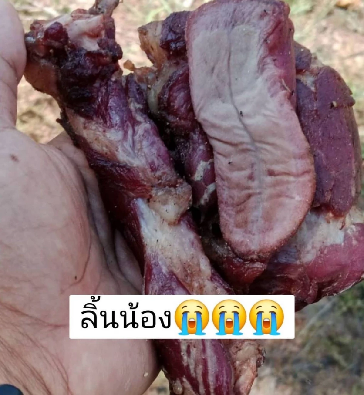 เพื่อนบ้านใจโหด ตีหมาจนดับ ก่อนชำแหละทำเนื้อแดดเดียว