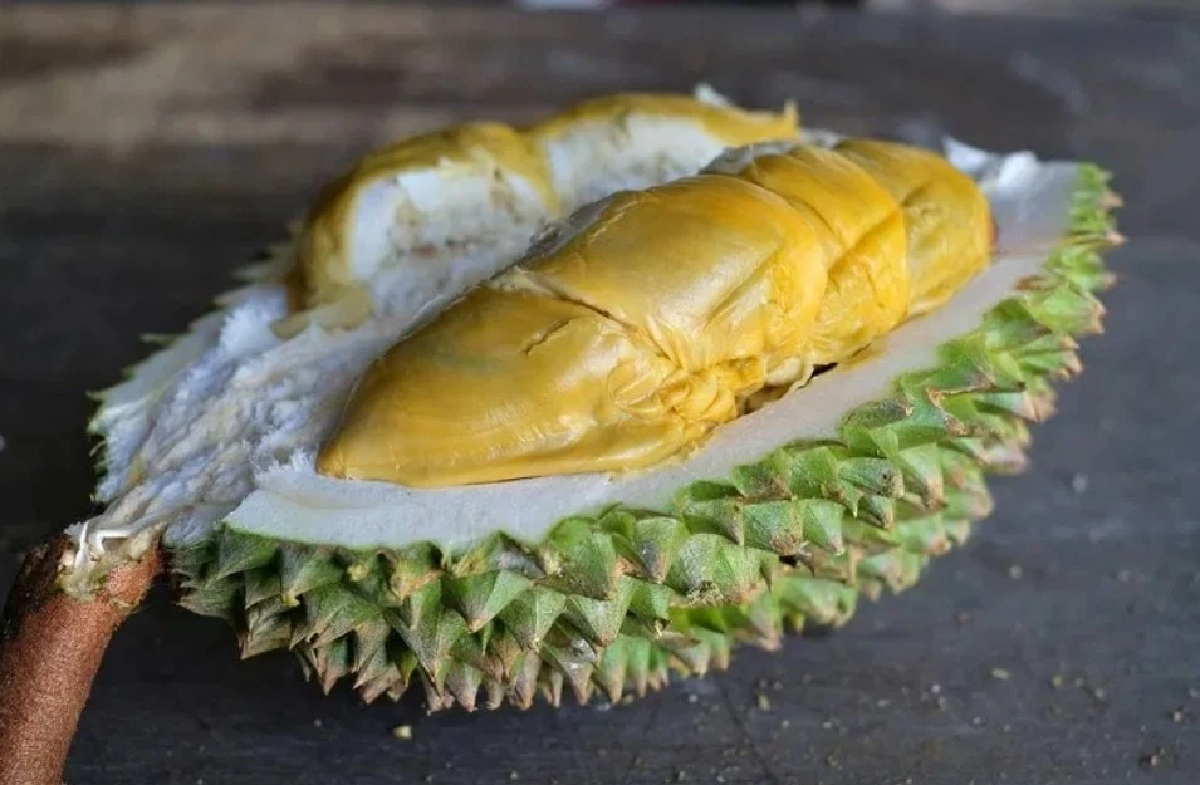 น่ากินไหม? ราชาแห่งทุเรียน Tupai King อร่อยมากหากินยาก