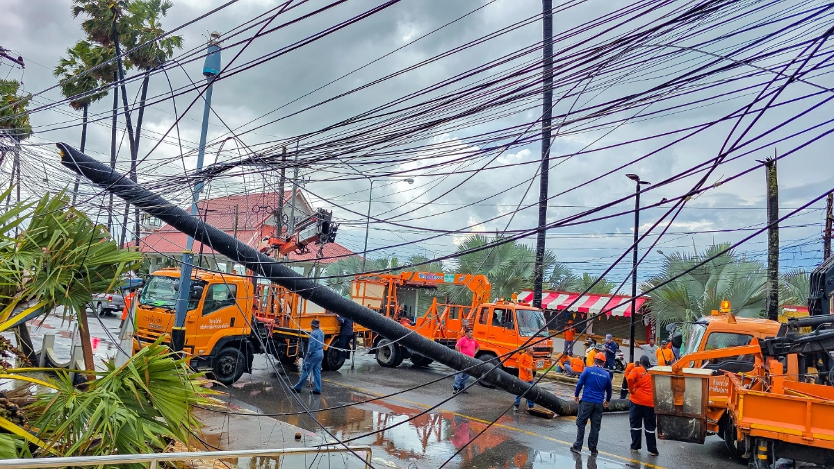 ฝนถล่มสัตหีบ ลมกระโชกแรง พัดต้นตาล อายุ 100 ปี หักโค่นขวางถนน