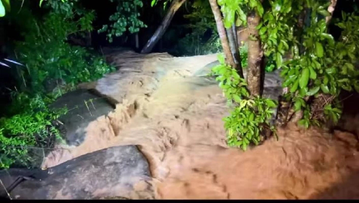 เปิดคลิปวินาที น้ำป่าไหลหลากซัดรถ ส.อบต. ตกเหวลึก ล่าสุดยังหาไม่พบ