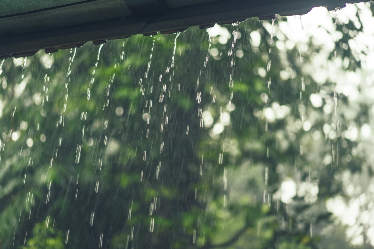 พยากรณ์อากาศวันนี้ 15 ก.ค. 2568 เช็กรายชื่อจังหวัด มีฝนตกหนัก 60%