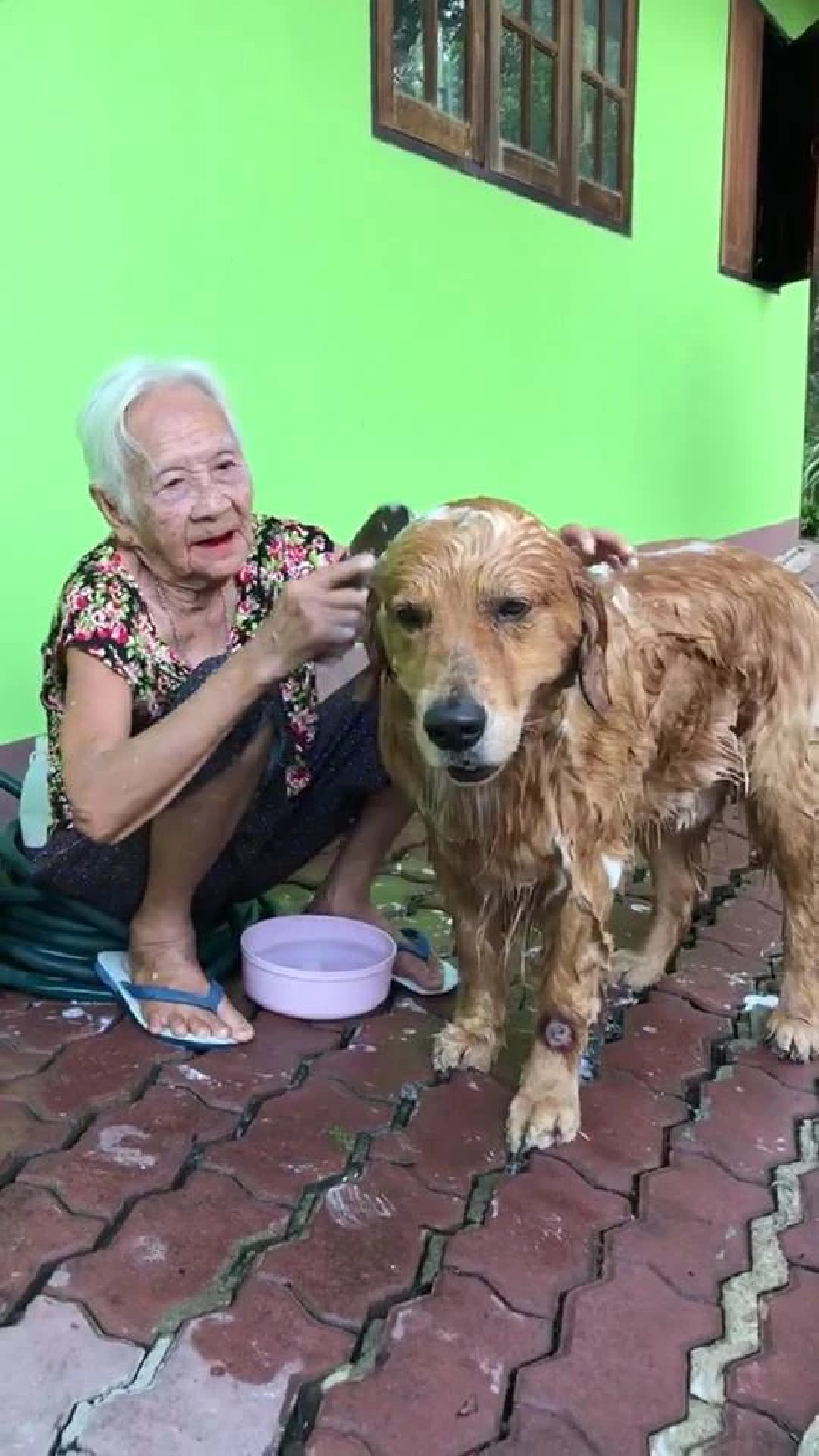 สุดเศร้า! อาลัย \"คุณยาย\" แห่งเพจลีโอไอ้หนูของยาย จากไปกะทันหัน