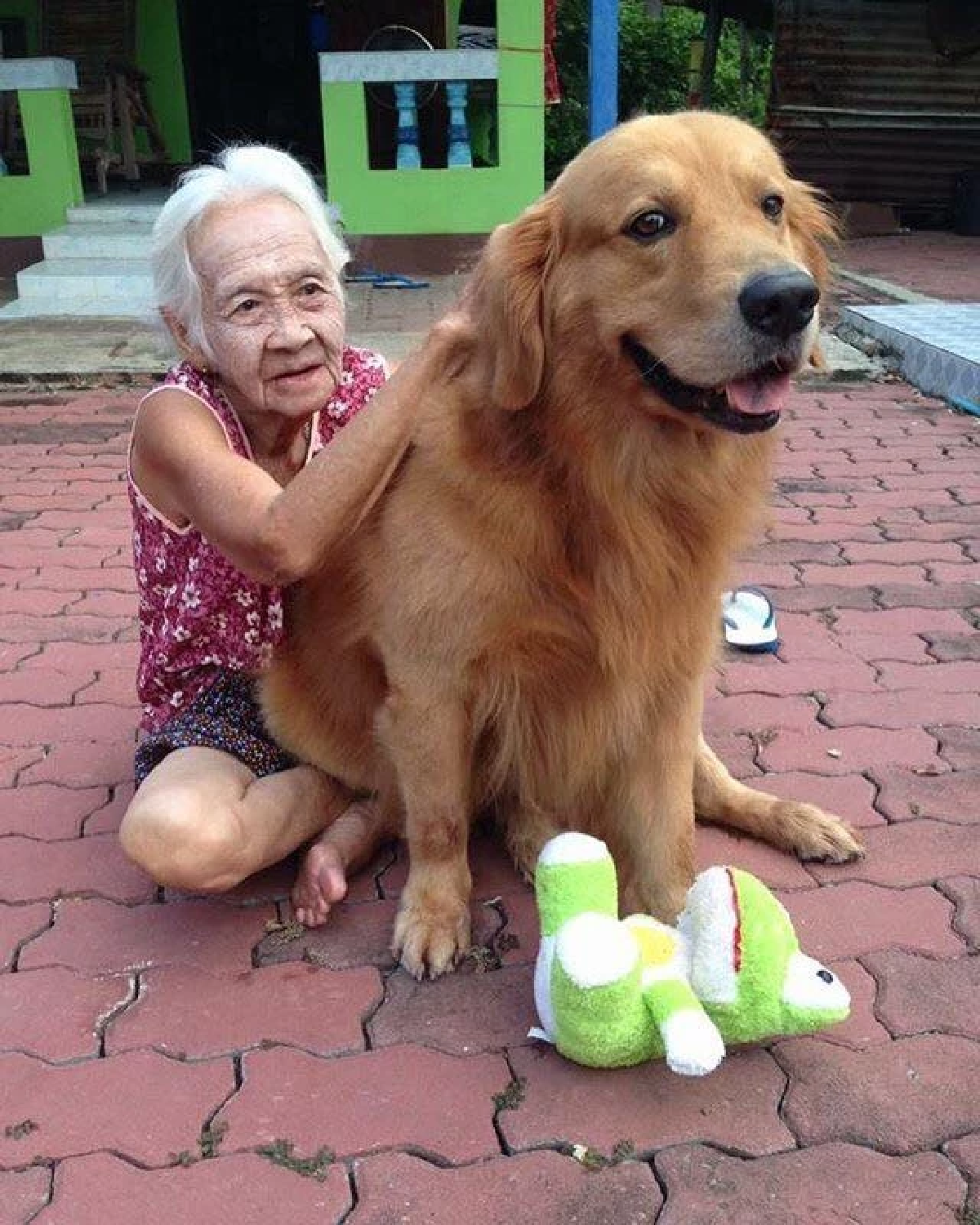สุดเศร้า! อาลัย \"คุณยาย\" แห่งเพจลีโอไอ้หนูของยาย จากไปกะทันหัน