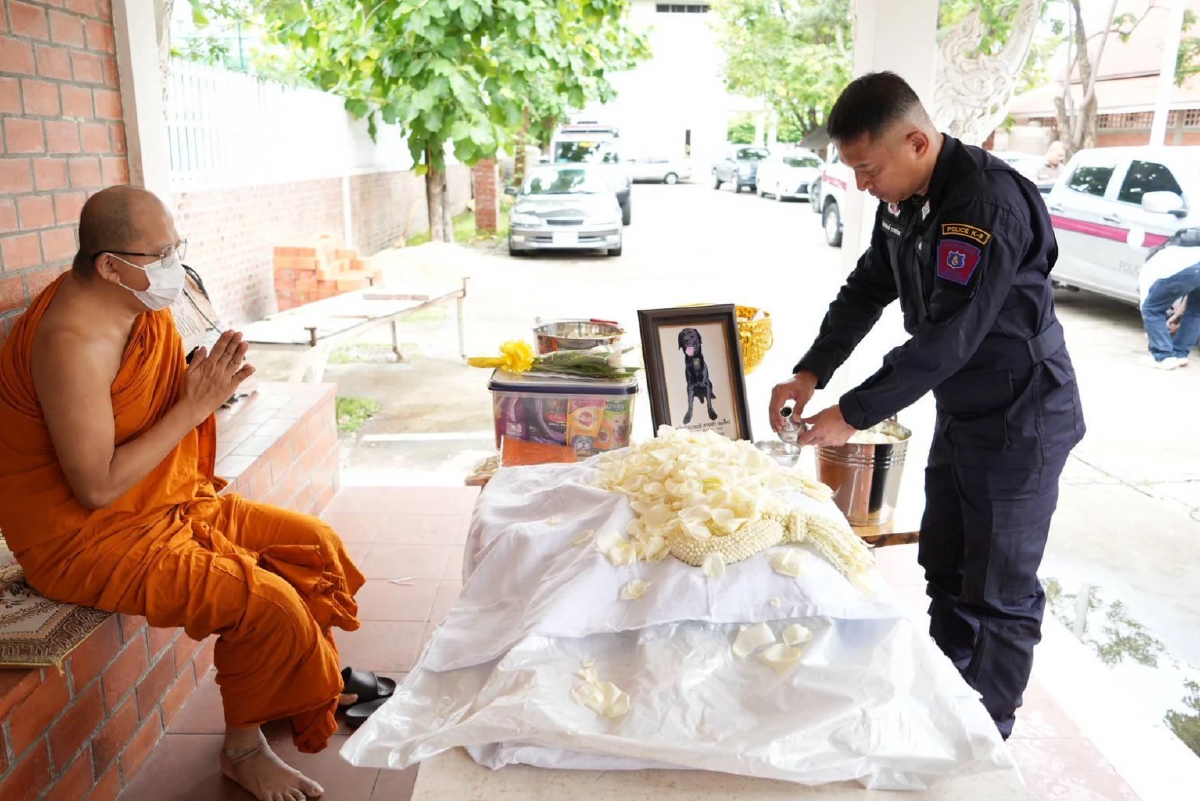 บก.สปพ. จัดพิธีไว้อาลัย สุนัขตำรวจตรี \"สายฟ้า\" ปฏิบัติหน้าที่อย่างกล้าหาญ