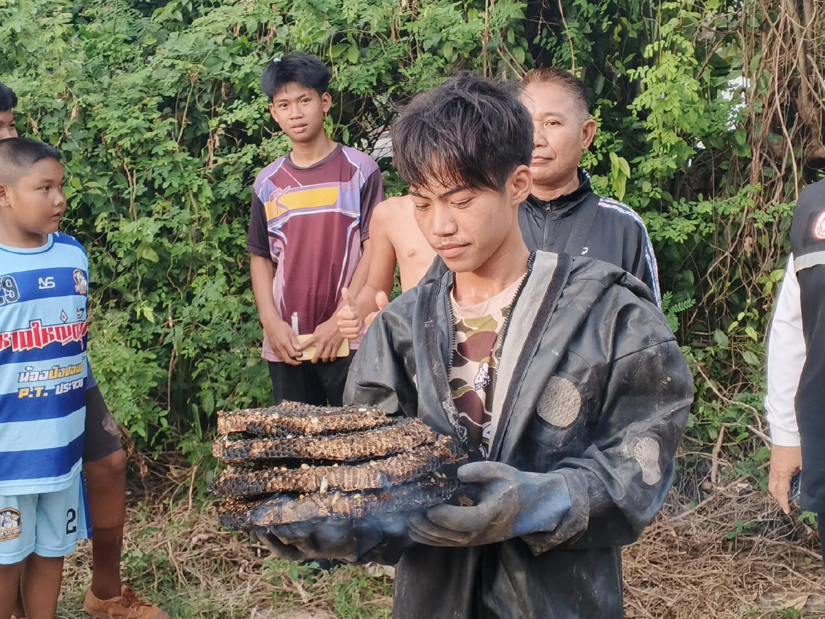 สลด เด็ก 2 ขวบ ถูกต่อหัวเสือรุมต่อย 60 ตัวดับ พ่อกอดลูกโดนด้วยสาหัส