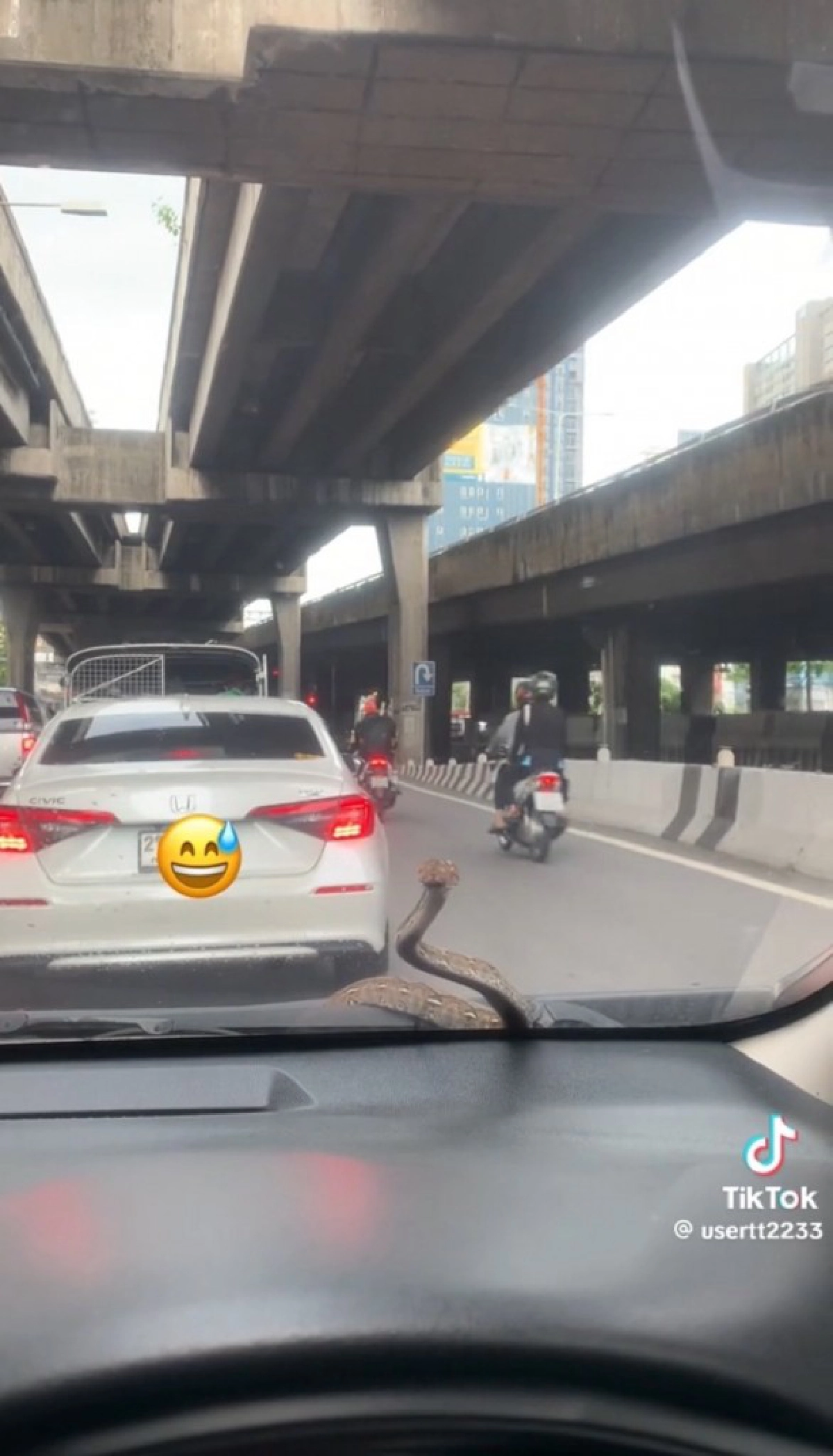 ส่อง \"เลขทะเบียนรถ\" เลขเด็ด สาวใจจะวาย เจองูโผล่ขณะขับรถ ใน \"วันพระ\"