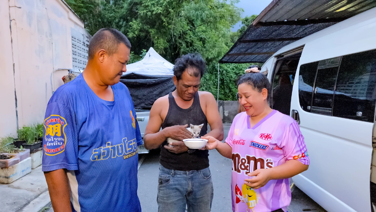 ส่องทะเบียน กู้ภัยฯ ช่วยแมวจร ติดในรถตู้ สุดเวทนา! ร้องขอความช่วยเหลือ