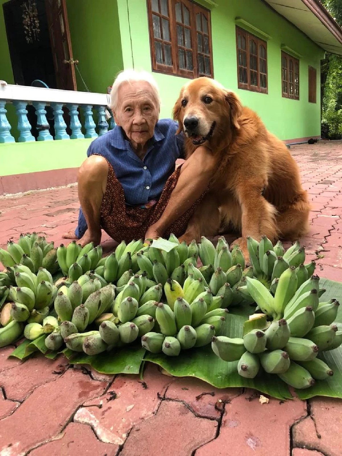 สุดเศร้า! อาลัย \"คุณยาย\" แห่งเพจลีโอไอ้หนูของยาย จากไปกะทันหัน