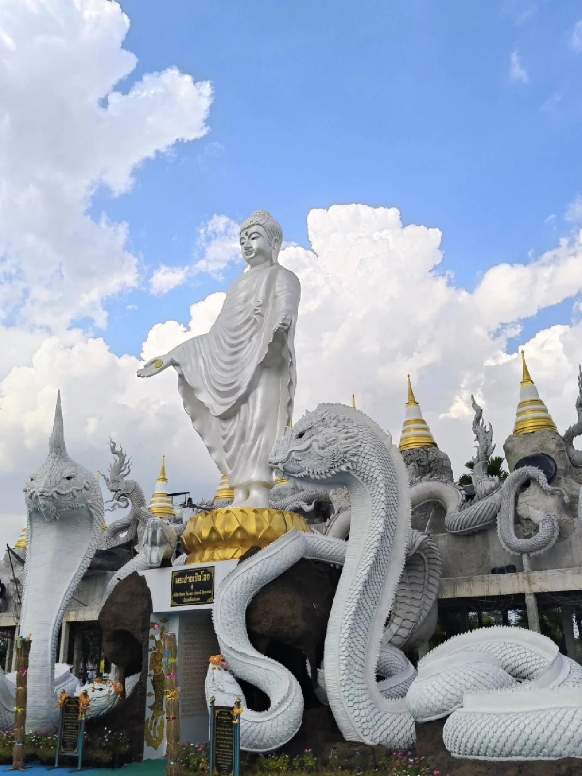 พาไปมู “พญาน้อล” สุดคิวต์! ขวัญใจสายบุญ วัดดอนใหญ่ ปทุมธานี