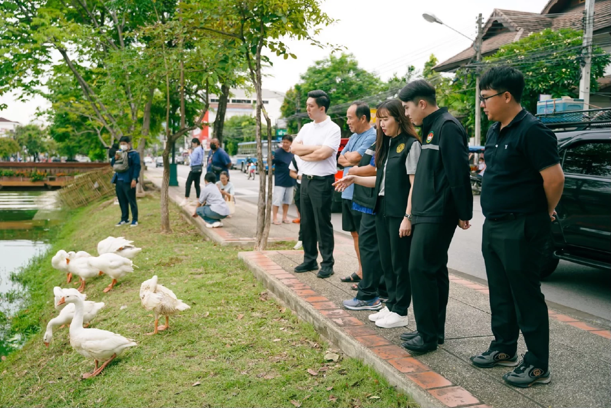 เทศบาลนครเชียงใหม่ เปิดตัว \"น้องห่าน\" เจ้าพนักงาน กำจัดจอกแหน