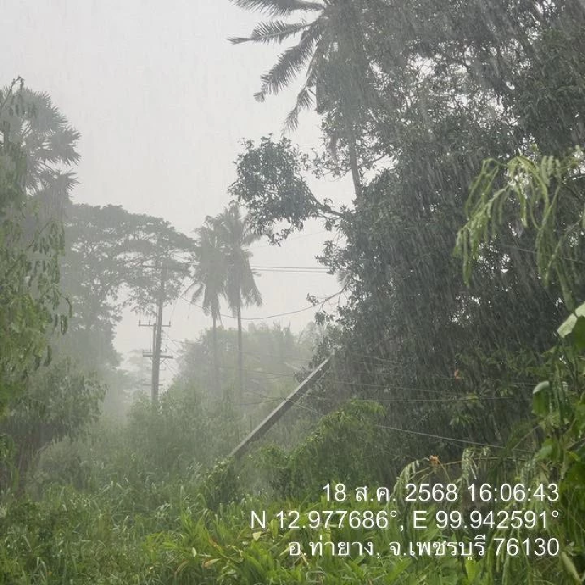 ฝนถล่ม เพชรบุรี ต้นไม้หักโค่น ทับชาวบ้านกลางตลาดนัด สาหัส 3 ราย