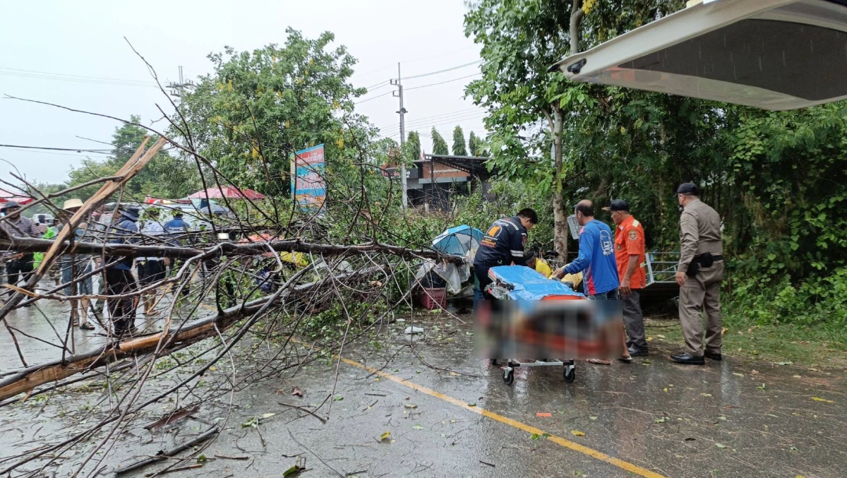 ฝนถล่ม เพชรบุรี ต้นไม้หักโค่น ทับชาวบ้านกลางตลาดนัด สาหัส 3 ราย