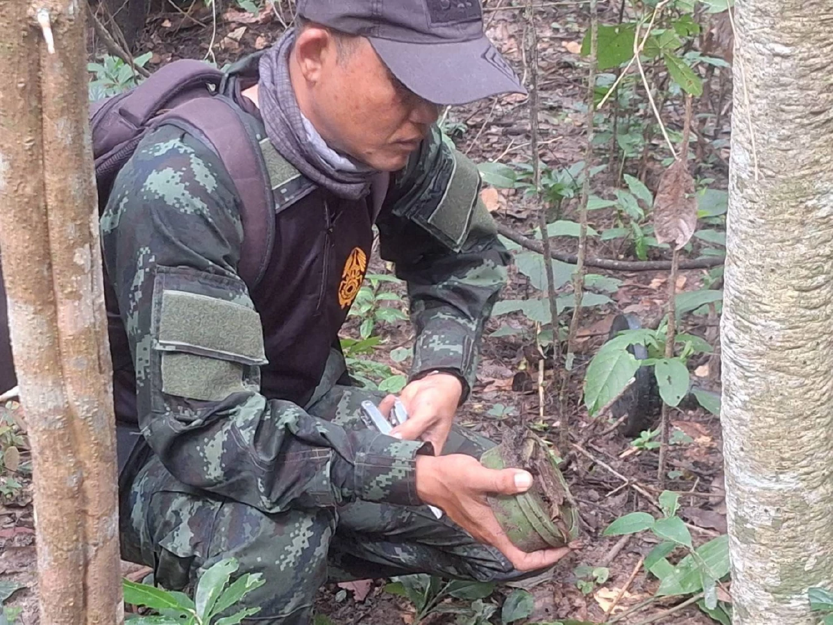 อัปเดต (ล่าสุด) ตรวจพบทุ่นระเบิด - ตะปูเรือใบ บริเวณเนิน 350
