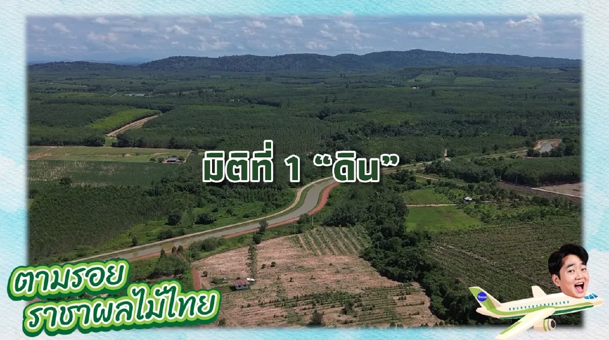 รหัสลับทุเรียนไทย\" GI\" หัวใจ สร้างแบรนด์สู่ตลาดโลก
