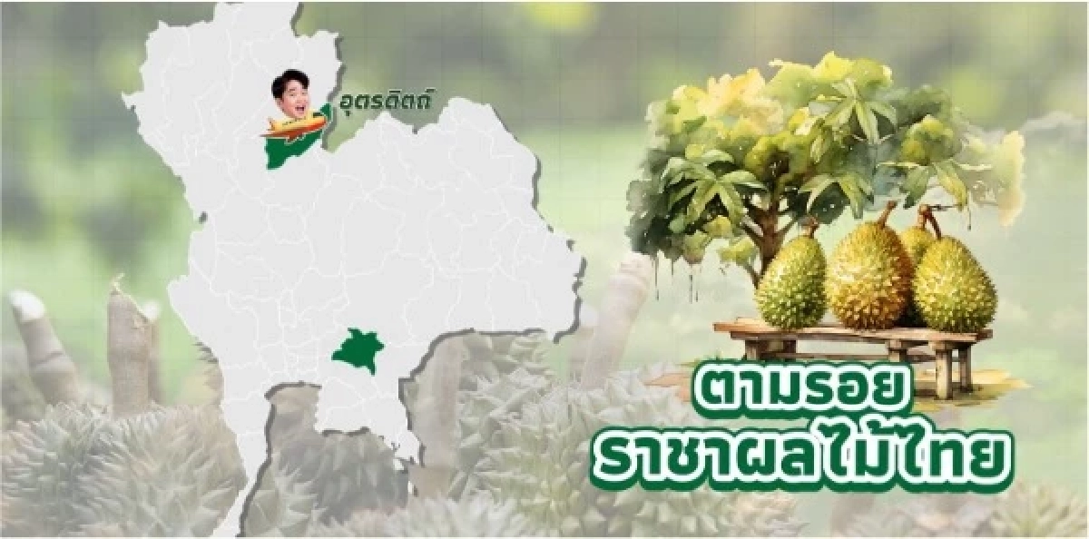 “ทุเรียน”ราชาแห่งผลไม้ไทย กับรหัสลับ GI ที่โลกต้องรู้จัก