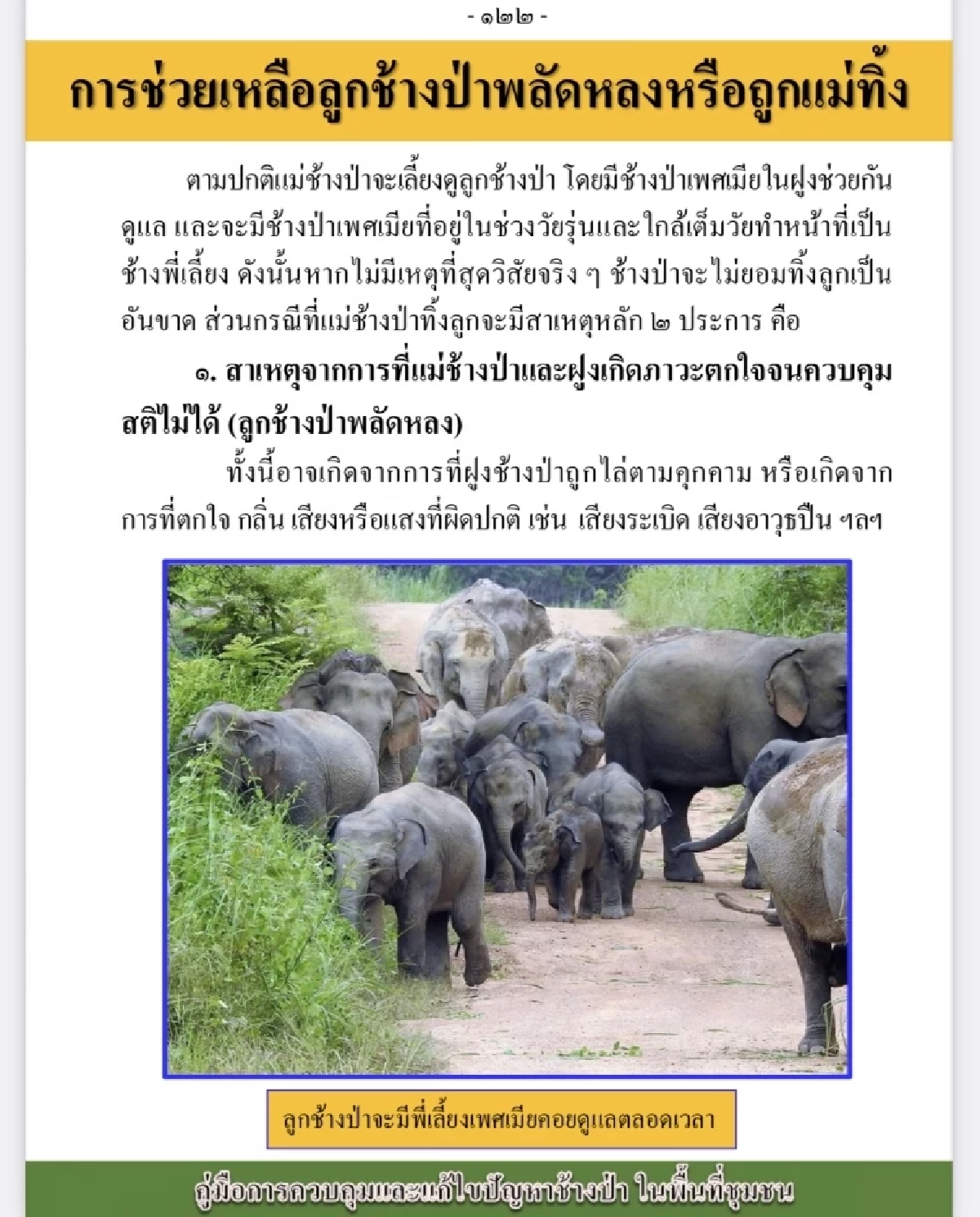 เปิดสาเหตุหลัก 2 ประการ เพราะอะไร? แม่ช้างป่าจึงทิ้งลูกน้อย
