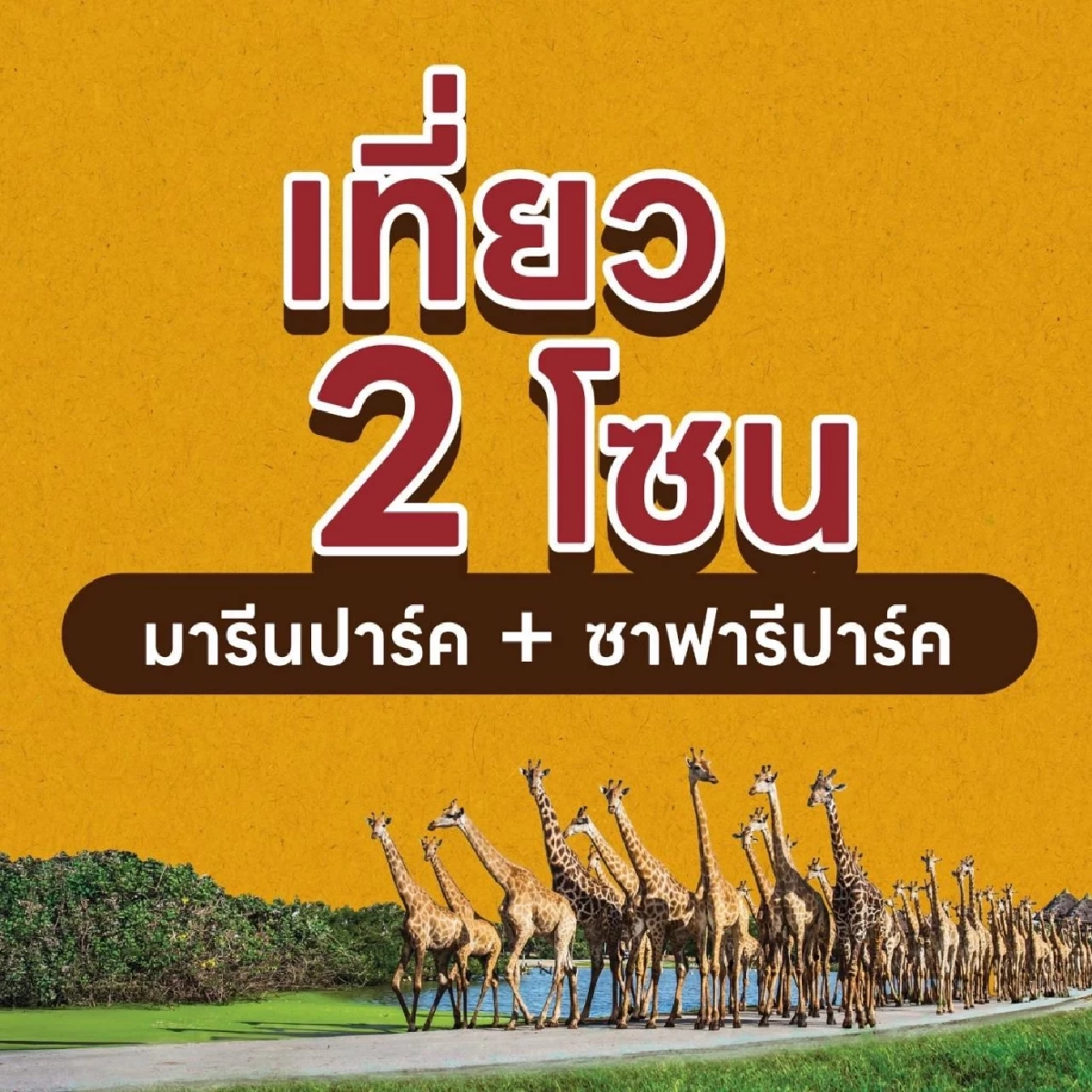 รีบด่วน ซาฟารีเวิลด์ จัดโปร \"เที่ยววันละ 1 บาท นาน 3 ปี\" เริ่มสมัครแล้ววันนี้