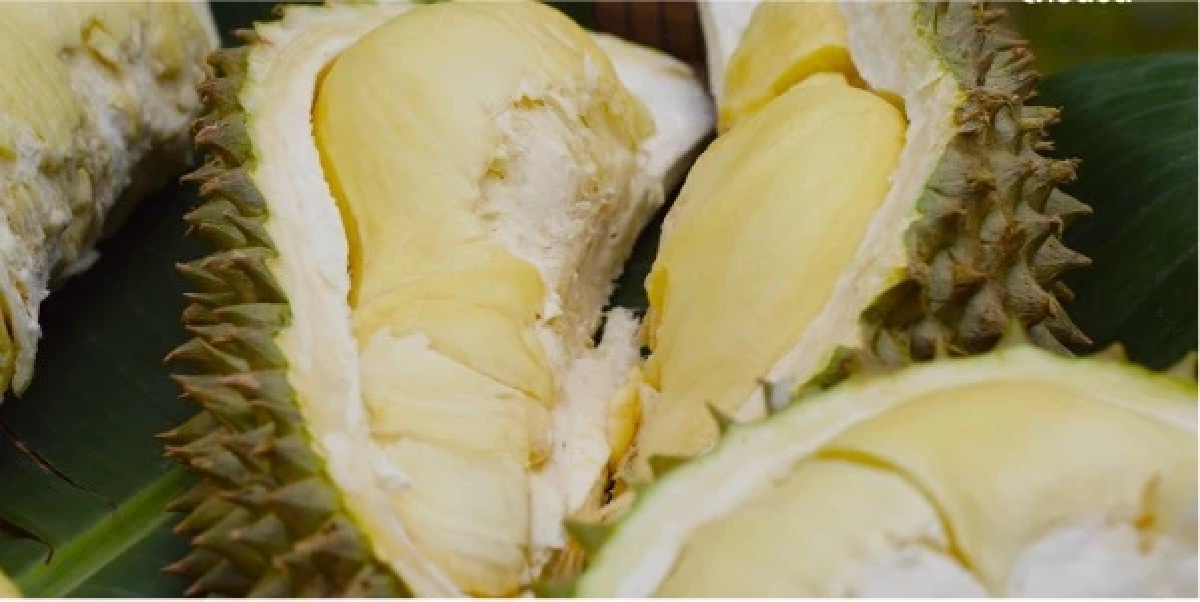 “ทุเรียน”ราชาแห่งผลไม้ไทย กับรหัสลับ GI ที่โลกต้องรู้จัก