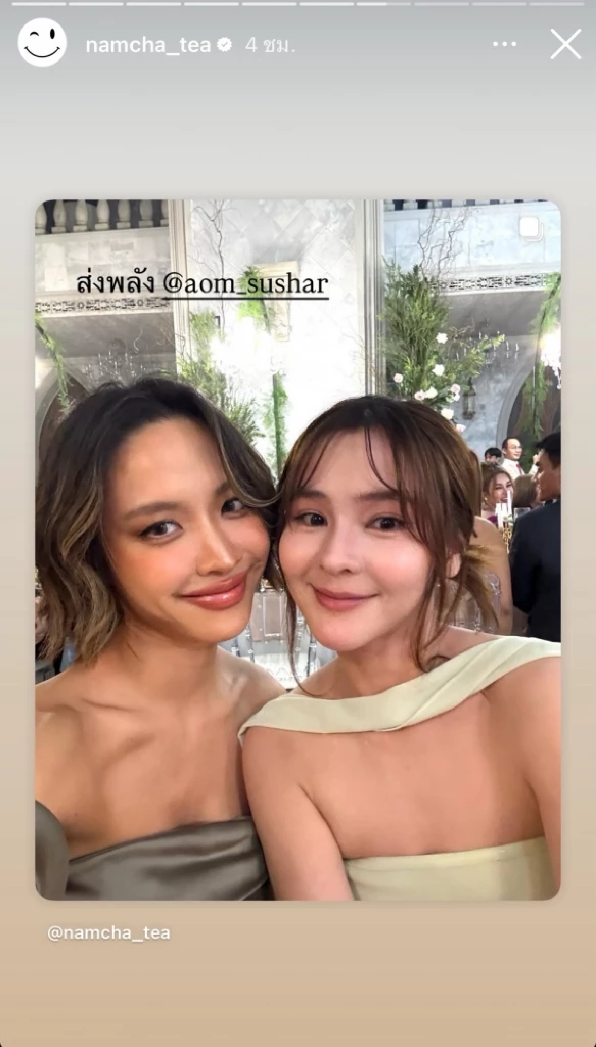 แรง! \"น้ำชา\" โพสต์ภาพคู่ \"ออม สุชาร์\" ด่าใคร? งูพิษ ทำตัวเป็นเหยื่อ