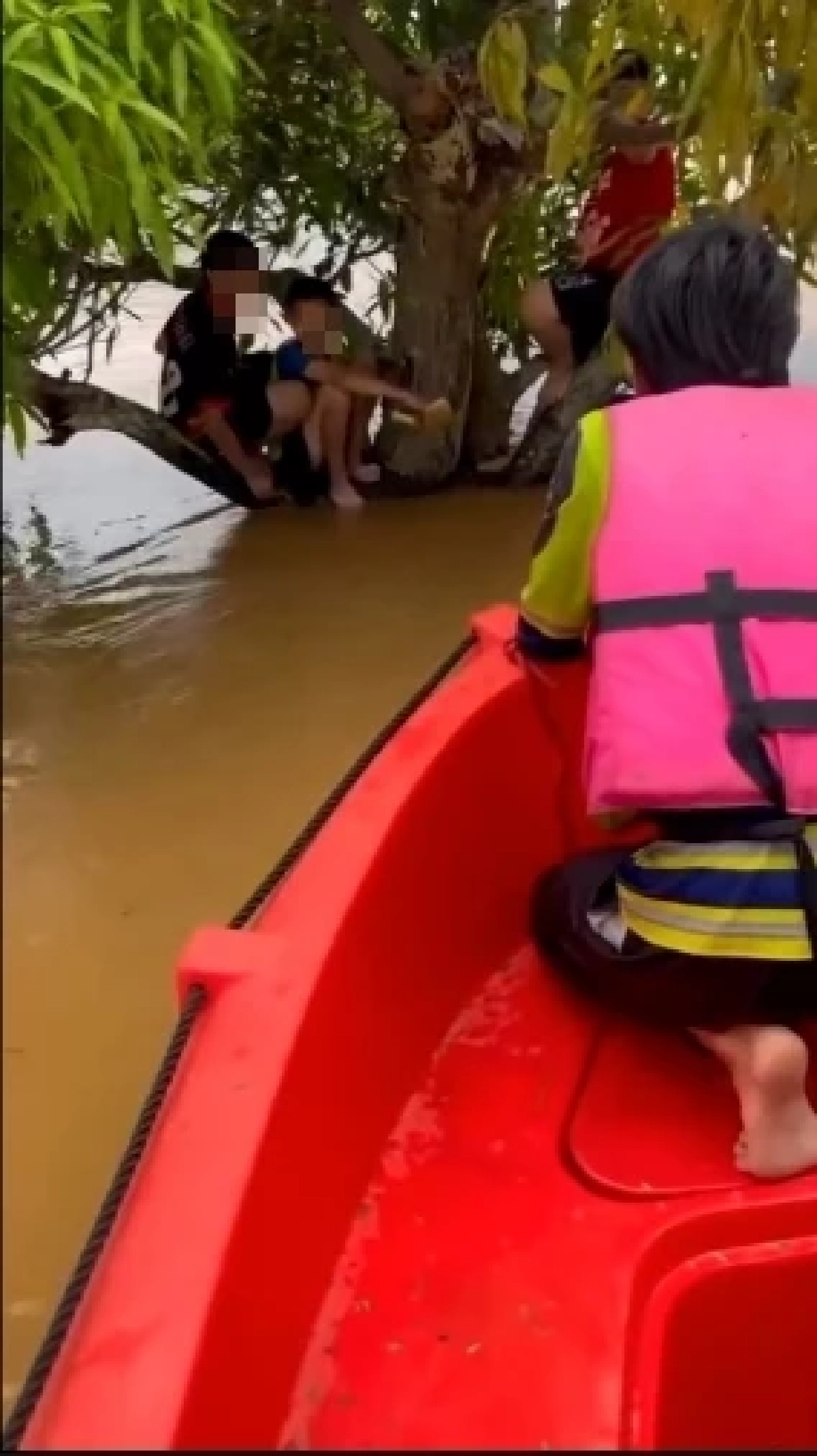 สุดลุ้น เจ้าหน้าที่เร่งช่วยเด็ก 3 คน ถูกน้ำพัด เกาะอยู่บนต้นไม้กลางทุ่งนา